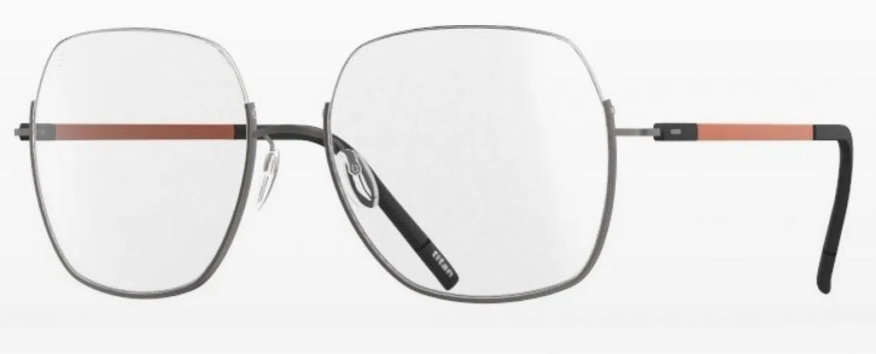 Silhouette Dynamic Dawn Nylor 4566 Eyeglasses - view 2